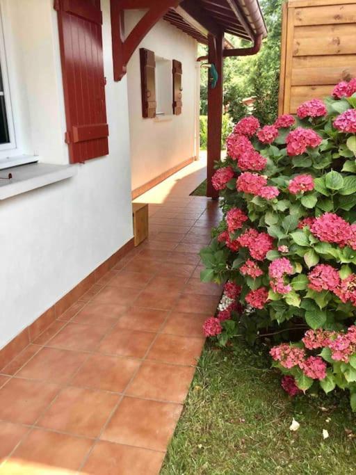 1Km Plage, Agreable Maison 6 Pers Classee 3* Hendaye Dış mekan fotoğraf